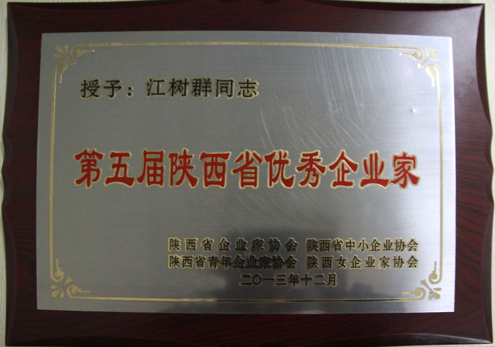 2013年集团创始人荣获第五届陕西省优秀企业家称号